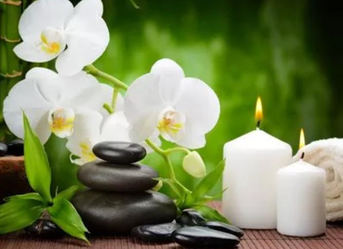 推薦幾種適宜夏季養植的花卉盆栽